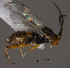  ( - Micro0330)  @12 [ ] Unspecified (default): All Rights Reserved  Unspecified Unspecified