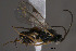  ( - Micro0347)  @12 [ ] Unspecified (default): All Rights Reserved  Unspecified Unspecified