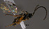  ( - Micro0391)  @12 [ ] Unspecified (default): All Rights Reserved  Unspecified Unspecified