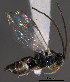  ( - Micro0424)  @12 [ ] Unspecified (default): All Rights Reserved  Unspecified Unspecified