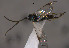  ( - Micro0427)  @12 [ ] Unspecified (default): All Rights Reserved  Unspecified Unspecified