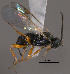  ( - Micro0451)  @12 [ ] Unspecified (default): All Rights Reserved  Unspecified Unspecified