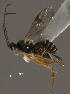  ( - Micro-0482)  @13 [ ] Unspecified (default): All Rights Reserved  Unspecified Unspecified