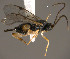  ( - Micro-0488)  @12 [ ] Unspecified (default): All Rights Reserved  Unspecified Unspecified
