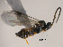  ( - Micro-0499)  @12 [ ] Unspecified (default): All Rights Reserved  Unspecified Unspecified