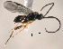  ( - Micro-0501)  @12 [ ] Unspecified (default): All Rights Reserved  Unspecified Unspecified