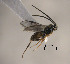  ( - Micro-0509)  @13 [ ] Unspecified (default): All Rights Reserved  Unspecified Unspecified