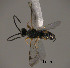  ( - Micro-0519)  @12 [ ] Unspecified (default): All Rights Reserved  Unspecified Unspecified