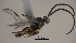  ( - Micro-0520)  @12 [ ] Unspecified (default): All Rights Reserved  Unspecified Unspecified