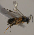  ( - Micro-0522)  @13 [ ] Unspecified (default): All Rights Reserved  Unspecified Unspecified