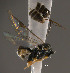  ( - Micro-0523)  @12 [ ] Unspecified (default): All Rights Reserved  Unspecified Unspecified