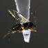  ( - Micro-0529)  @12 [ ] Unspecified (default): All Rights Reserved  Unspecified Unspecified