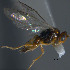  ( - Micro-0548)  @12 [ ] Unspecified (default): All Rights Reserved  Unspecified Unspecified