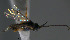  ( - Micro-0554)  @12 [ ] Unspecified (default): All Rights Reserved  Unspecified Unspecified