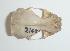  ( - CIBNOR 18937)  @12 [ ] Copyright (2012) Unspecified Unspecified