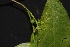  ( - Ibarra6183)  @11 [ ] Copyright  Karen H. Esquivel 2010 Unspecified