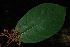 ( - Salazar8013)  @11 [ ] Copyright  Gerardo Salazar 2010 Unspecified