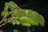  ( - Salazar8023)  @11 [ ] Copyright  Gerardo Salazar 2010 Unspecified