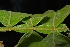  ( - Salazar8023)  @11 [ ] Copyright  Gerardo Salazar 2010 Unspecified