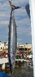  ( - MX916)  @12 [ ] Unspecified (default): All Rights Reserved  Unspecified Unspecified