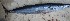  ( - MX943)  @12 [ ] Unspecified (default): All Rights Reserved  Unspecified Unspecified