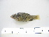  ( - MXIII-34)  @13 [ ] Unspecified (default): All Rights Reserved  Unspecified Unspecified