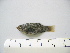  ( - MXIII-50)  @13 [ ] Unspecified (default): All Rights Reserved  Unspecified Unspecified