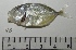  ( - MXIII655)  @11 [ ] Unspecified (default): All Rights Reserved  Unspecified Unspecified