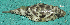  ( - MXIII663)  @13 [ ] Unspecified (default): All Rights Reserved  Unspecified Unspecified
