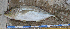  ( - MXIII671)  @13 [ ] Unspecified (default): All Rights Reserved  Unspecified Unspecified