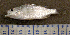  ( - MXIV0601)  @12 [ ] Unspecified (default): All Rights Reserved  Unspecified Unspecified
