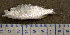  ( - MXIV0602)  @12 [ ] Unspecified (default): All Rights Reserved  Unspecified Unspecified