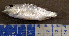  ( - MXIV0603)  @13 [ ] Unspecified (default): All Rights Reserved  Unspecified Unspecified