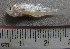  ( - MXIV79)  @12 [ ] Unspecified (default): All Rights Reserved  Unspecified Unspecified