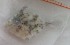  ( - MXIV94)  @12 [ ] Unspecified (default): All Rights Reserved  Unspecified Unspecified