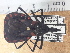  ( - JAGCH44)  @11 [ ] CreativeCommons - Attribution Non-Commercial Share-Alike (2015) Unspecified Instituto de Diagnóstico y Referencia Epidemiológica