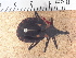  ( - JAGCH54)  @11 [ ] CreativeCommons - Attribution Non-Commercial Share-Alike (2015) Unspecified Instituto de Diagnóstico y Referencia Epidemiológica