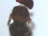  ( - MYCBR119)  @12 [ ] No Rights Reserved  Unspecified Unspecified
