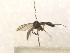  ( - FinMyc205)  @12 [ ] Unspecified (default): All Rights Reserved (2011) Unspecified NHMO