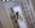  ( - FinMyc237)  @12 [ ] Unspecified (default): All Rights Reserved (2011) Unspecified NHMO