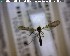  ( - FinMyc287)  @12 [ ] Unspecified (default): All Rights Reserved (2011) Unspecified NHMO