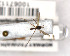  ( - FinMyc343)  @12 [ ] Unspecified (default): All Rights Reserved (2011) Unspecified NHMO