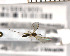  ( - FinMyc346)  @12 [ ] Unspecified (default): All Rights Reserved (2011) Unspecified NHMO