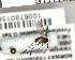  ( - FinMyc359)  @12 [ ] Unspecified (default): All Rights Reserved (2011) Unspecified NHMO