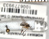 ( - FinMyc360)  @12 [ ] Unspecified (default): All Rights Reserved (2011) Unspecified NHMO