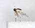  ( - FinMyc369)  @12 [ ] Unspecified (default): All Rights Reserved (2011) Unspecified NHMO