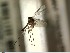  ( - FinMyc404)  @11 [ ] Unspecified (default): All Rights Reserved (2012) Unspecified NHMO
