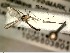 ( - FinMyc415)  @13 [ ] Unspecified (default): All Rights Reserved (2012) Unspecified NHMO