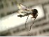  ( - FinMyc426)  @12 [ ] Unspecified (default): All Rights Reserved (2012) Unspecified NHMO