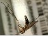  ( - FinMyc433)  @12 [ ] Unspecified (default): All Rights Reserved (2012) Unspecified NHMO